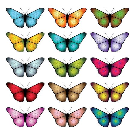 simsearch:400-06107863,k - Set of butterflies isolated on white background. Vector illustration. Fotografie stock - Microstock e Abbonamento, Codice: 400-08552693