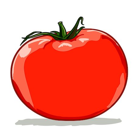 ripe red tomato on white background vector illustration Foto de stock - Super Valor sin royalties y Suscripción, Código: 400-08552978