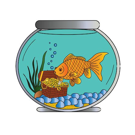 simsearch:400-04544729,k - Pet Goldfish in Bowl Photographie de stock - Aubaine LD & Abonnement, Code: 400-08553169