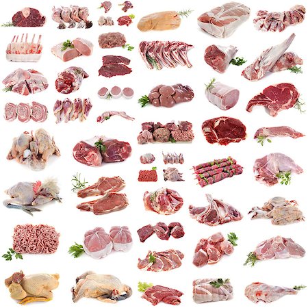 partridge - group of meat in front of white background Foto de stock - Super Valor sin royalties y Suscripción, Código: 400-08553326