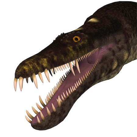 simsearch:400-08332007,k - Nothosaurus was a semi-aquatic carnivorous reptile that lived in the Triassic Period of North Africa, Europe and China. Foto de stock - Super Valor sin royalties y Suscripción, Código: 400-08553464