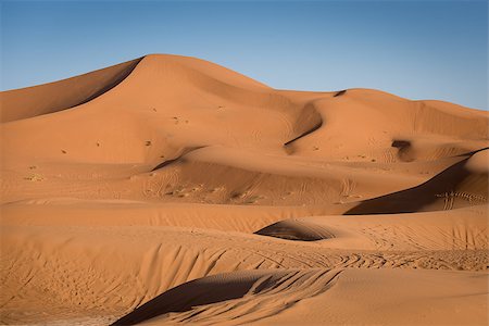 simsearch:851-02962144,k - Sand dunes in the Sahara Desert, Erg Chebbi, Merzouga, Morocco Stock Photo - Budget Royalty-Free & Subscription, Code: 400-08553832