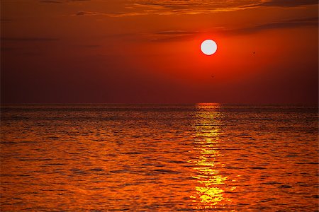 fogen (artist) - red sunset over the water. the rays of the setting sun reflected on the water surface Stockbilder - Microstock & Abonnement, Bildnummer: 400-08574060