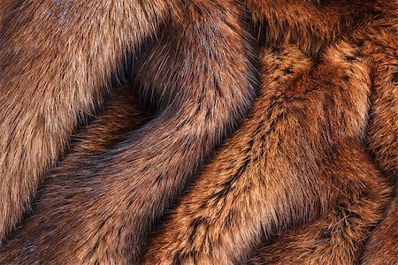 fogen (artist) - Warm coat of fur closeup. horizontal shot Stockbilder - Microstock & Abonnement, Bildnummer: 400-08574062