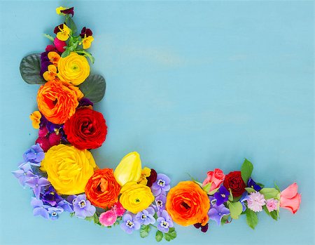Flowers festive composition on blue wooden table with copy space Stock Photo - Budget Royalty-Free & Subscription, Code: 400-08574214