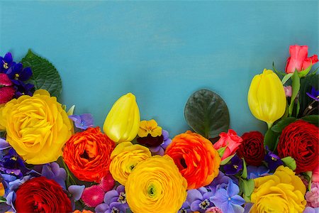 Flowers festive composition on blue wooden table Stock Photo - Budget Royalty-Free & Subscription, Code: 400-08574215