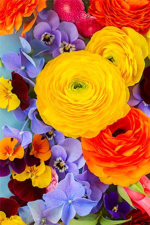Ffesh Flowers Background - ranunculus, pansies and hortensia Stock Photo - Budget Royalty-Free & Subscription, Code: 400-08574216