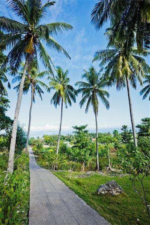 Road with palm trees against the blue sky and cloud Stock Photo - Budget Royalty-Free & Subscription, Code: 400-08574464