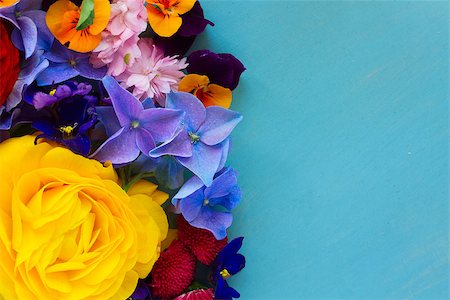 Vivid fresh Flowers  on blue wooden table with copy space Stock Photo - Budget Royalty-Free & Subscription, Code: 400-08574598