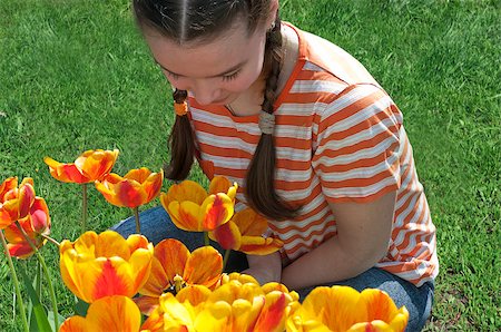Girl with pigtails leaned and considers tulips on the flowerbed Stockbilder - Microstock & Abonnement, Bildnummer: 400-08575127