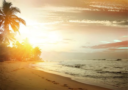 simsearch:400-06064328,k - Pink sunset over the beach of Indian ocean Stockbilder - Microstock & Abonnement, Bildnummer: 400-08575317