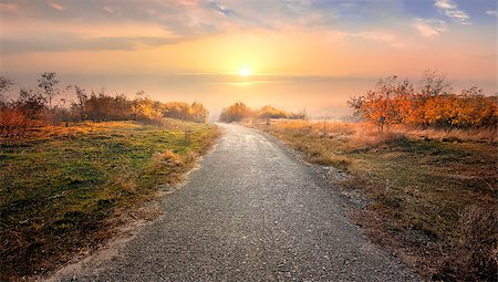 simsearch:400-03973181,k - Asphalted road through countryside in red autumn Stock Photo - Budget Royalty-Free & Subscription, Code: 400-08575318