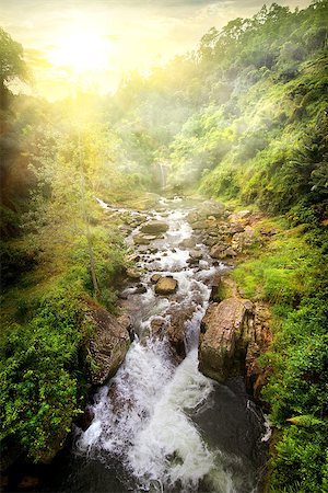 simsearch:862-03364346,k - Fast tropical river at sunny sunrise, Sri Lanka Photographie de stock - Aubaine LD & Abonnement, Code: 400-08575319
