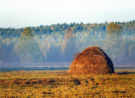 simsearch:400-07321234,k - The haystack in the misty morning on the edge of the autumn forest. Foto de stock - Royalty-Free Super Valor e Assinatura, Número: 400-08575412