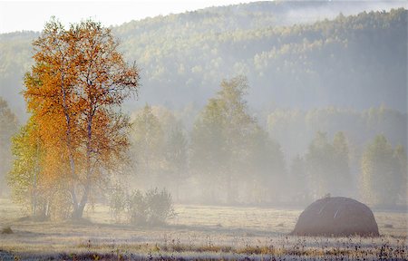 simsearch:400-07321234,k - The haystack in the misty morning on the edge of the autumn forest. Stock Photo - Budget Royalty-Free & Subscription, Code: 400-08575413