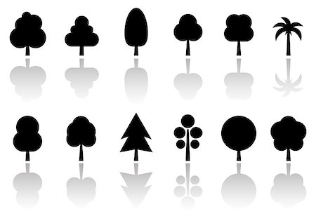 pine sprout - isolated black tree set with mirror reflection silhouette Stock Photo - Budget Royalty-Free & Subscription, Code: 400-08575802