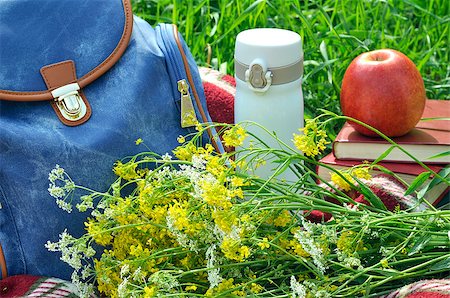 Blue backpack on red plaid with wild flowers, books, thermos and apple Stockbilder - Microstock & Abonnement, Bildnummer: 400-08575992