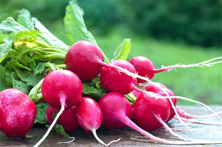 simsearch:400-07422782,k - Red radish on a bench against background green grass Photographie de stock - Aubaine LD & Abonnement, Code: 400-08576056