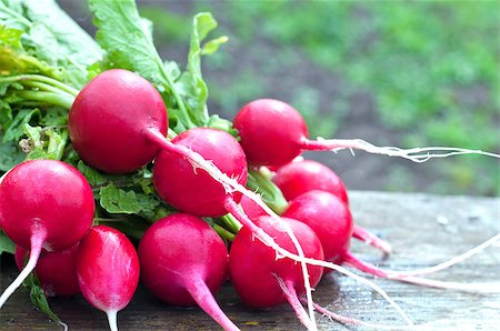 simsearch:400-07422782,k - Red radish on a bench against background green grass Photographie de stock - Aubaine LD & Abonnement, Code: 400-08576057