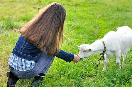 Girl with a white goat on rural meadow Stockbilder - Microstock & Abonnement, Bildnummer: 400-08576058