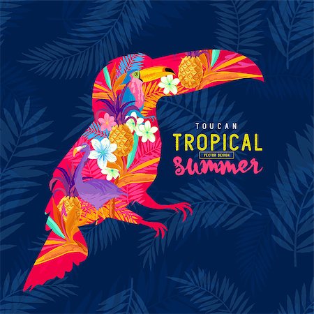Tropical Summer Toucan. Abstract Toucan bird with various tropical elements. Foto de stock - Super Valor sin royalties y Suscripción, Código: 400-08572323