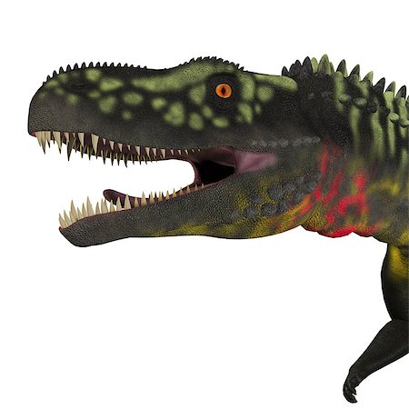 simsearch:400-08694325,k - Arizonasaurus was a sailback carnivorous archosaur that lived in Arizona, North America in the Triassic Period. Foto de stock - Super Valor sin royalties y Suscripción, Código: 400-08572444