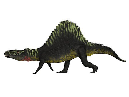 simsearch:400-08694325,k - Arizonasaurus was a sailback carnivorous archosaur that lived in Arizona, North America in the Triassic Period. Foto de stock - Super Valor sin royalties y Suscripción, Código: 400-08572445