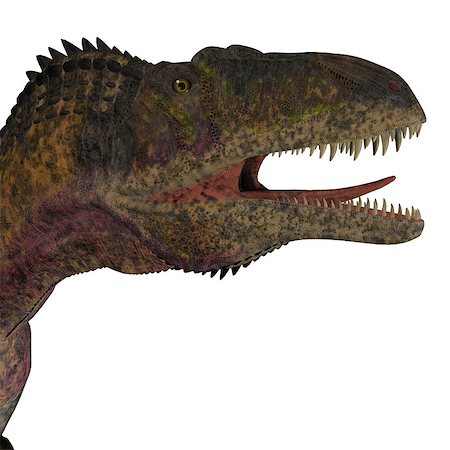 simsearch:400-08694325,k - Acrocanthosaurus was a theropod carnivorous dinosaur that lived in North America during the Cretaceous Period. Foto de stock - Super Valor sin royalties y Suscripción, Código: 400-08572441