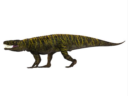 simsearch:400-08694325,k - Batrachotomus was a carnivorous archosaur predator that lived in Germany during the Triassic Period. Foto de stock - Super Valor sin royalties y Suscripción, Código: 400-08572453