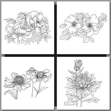 peony art - Set of Romantic vector background with hand drawn flowers isolated on white.  Ink drawing illustration. Line art sketching. Floral design for wedding invitations, cards, congratulations, branding. Stock Photo - Budget Royalty-Free & Subscription, Code: 400-08573325