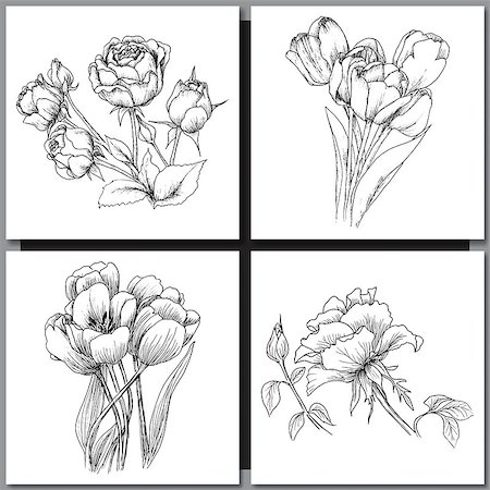 peony art - Set of Romantic vector background with hand drawn flowers isolated on white.  Ink drawing illustration. Line art sketching. Floral design for wedding invitations, cards, congratulations, branding. Stock Photo - Budget Royalty-Free & Subscription, Code: 400-08573327