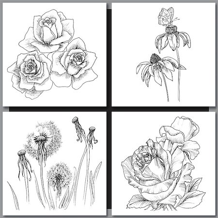 peony art - Set of Romantic vector background with hand drawn flowers isolated on white.  Ink drawing illustration. Line art sketching. Floral design for wedding invitations, cards, congratulations, branding. Stock Photo - Budget Royalty-Free & Subscription, Code: 400-08573328