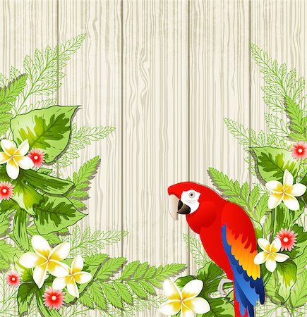 simsearch:400-09048464,k - Summer background with tropical flowers and parrot. Vector illustration. Stockbilder - Microstock & Abonnement, Bildnummer: 400-08614284