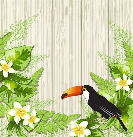 simsearch:400-09048464,k - Summer background with tropical flowers and toucan. Vector illustration. Stockbilder - Microstock & Abonnement, Bildnummer: 400-08614285