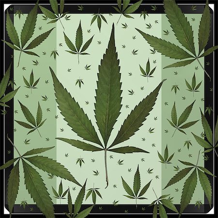 simsearch:400-08289916,k - A square format design using weed leaves. Photographie de stock - Aubaine LD & Abonnement, Code: 400-08614325