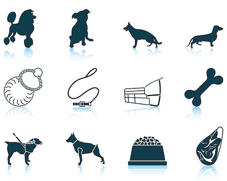 Set of twelve dog breeding icons with reflections. Vector illustration. Fotografie stock - Microstock e Abbonamento, Codice: 400-08615662