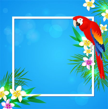 simsearch:400-09048464,k - Summer vector background with tropical flowers and parrot. Tropical frame with place for text. Stockbilder - Microstock & Abonnement, Bildnummer: 400-08615710