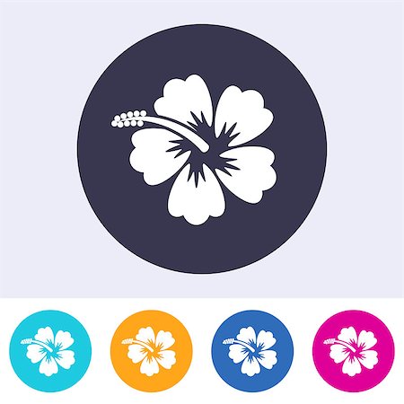 Vector hibiscus blossom icon on round colorful buttons Stock Photo - Budget Royalty-Free & Subscription, Code: 400-08615947