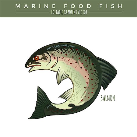 simsearch:400-08736716,k - Salmon illustration. Marine food fish, editable gradient vector Stockbilder - Microstock & Abonnement, Bildnummer: 400-08616185