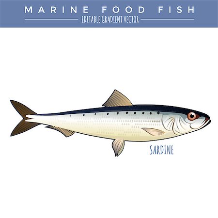 simsearch:400-08754703,k - Sardine illustration. Marine food fish, editable gradient vector Stockbilder - Microstock & Abonnement, Bildnummer: 400-08616186