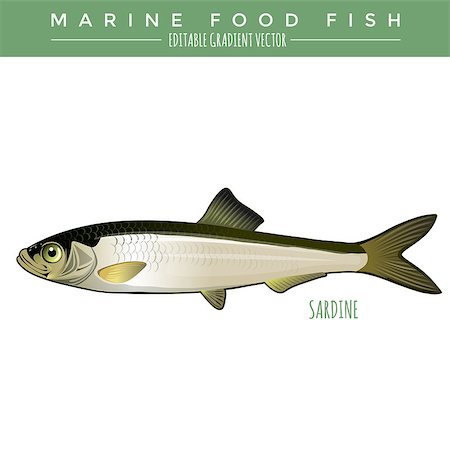 Sardine illustration. Marine food fish, editable gradient vector Stock Photo - Budget Royalty-Free & Subscription, Code: 400-08616187