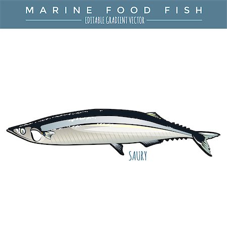 simsearch:400-08616184,k - Saury illustration. Marine food fish, editable gradient vector Foto de stock - Royalty-Free Super Valor e Assinatura, Número: 400-08616183