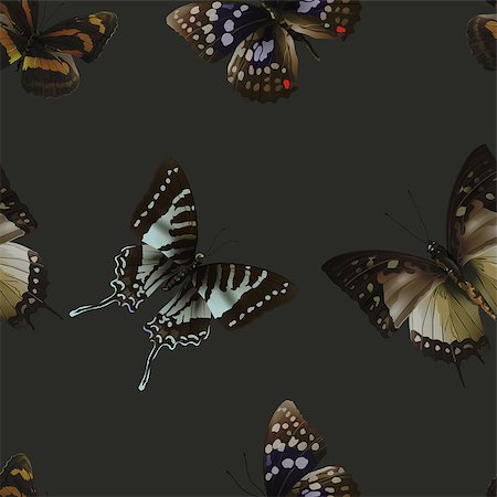 simsearch:400-08616887,k - Seamless pattern from butterflies, vector illustration, clip-art Foto de stock - Super Valor sin royalties y Suscripción, Código: 400-08616880