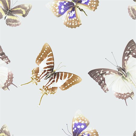 simsearch:400-08616887,k - Seamless pattern from butterflies, vector illustration, clip-art Foto de stock - Super Valor sin royalties y Suscripción, Código: 400-08616881