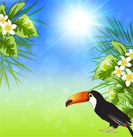 simsearch:400-09048464,k - Summer background with green tropical leaves and toucan. Vector illustration. Stockbilder - Microstock & Abonnement, Bildnummer: 400-08616928