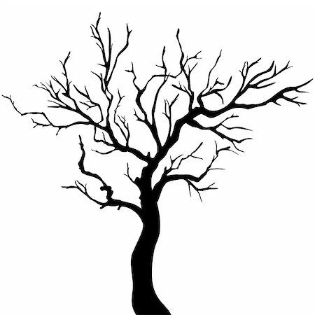 Vector Tree Silhouette Isolated on White Backgorund. Stockbilder - Microstock & Abonnement, Bildnummer: 400-08617166