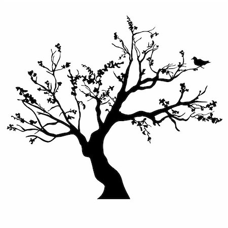Vector Tree Silhouette Isolated on White Backgorund. Foto de stock - Super Valor sin royalties y Suscripción, Código: 400-08617167