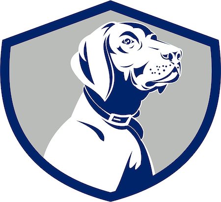 simsearch:400-08620286,k - Illustration of a pointer dog head profile looking to the side set inside shield crest on isolated background done in retro style. Foto de stock - Super Valor sin royalties y Suscripción, Código: 400-08617232