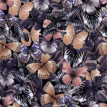 simsearch:400-08616887,k - Seamless pattern from butterflies, vector illustration, clip-art Foto de stock - Super Valor sin royalties y Suscripción, Código: 400-08617511