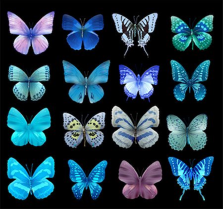 simsearch:400-05887739,k - collection of vector colorful butterflies for design Stock Photo - Budget Royalty-Free & Subscription, Code: 400-08617706